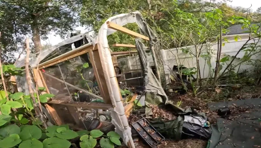 Before junk removal — yard waste in Menifee, CA